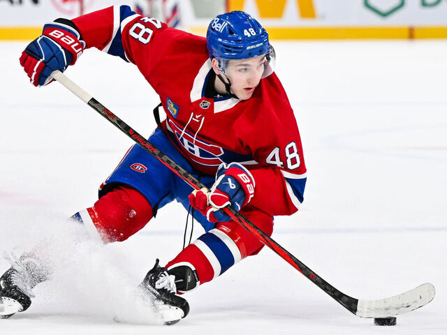 Les joueurs de petite taille peuvent aussi réussir une carrière dans la LNH